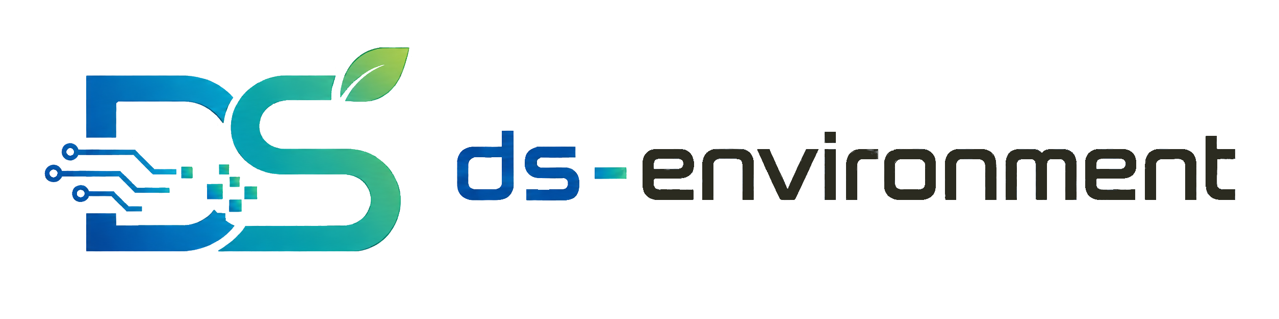 ds-environment